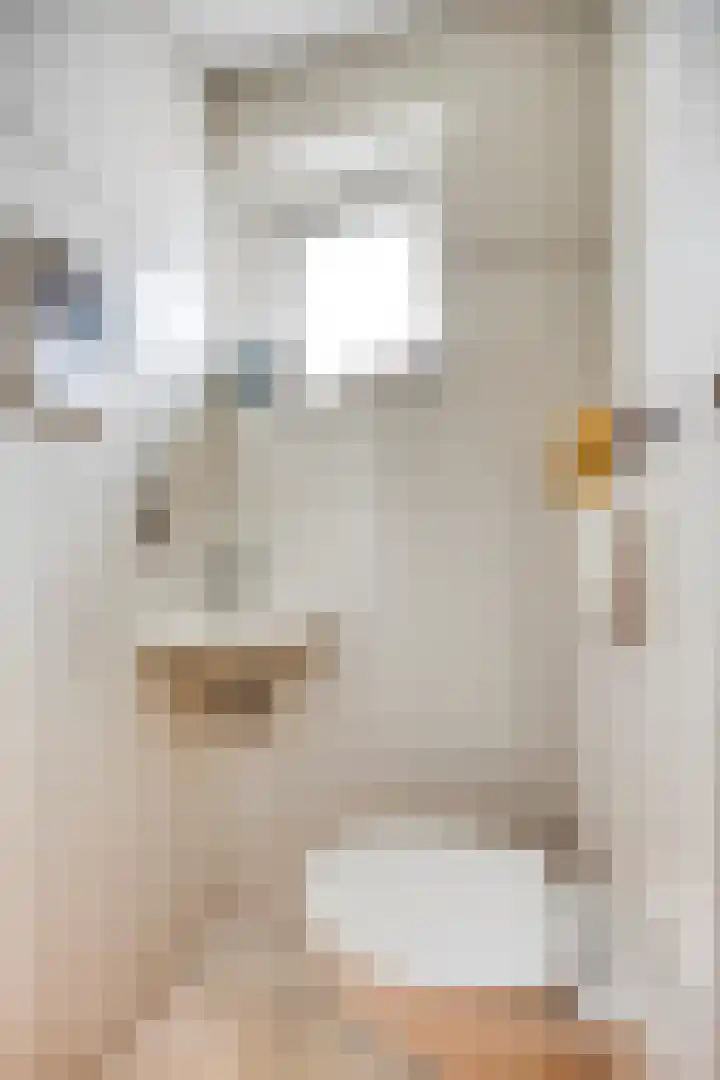 Alingterp 3 Warmenhuizen thumbnail 15