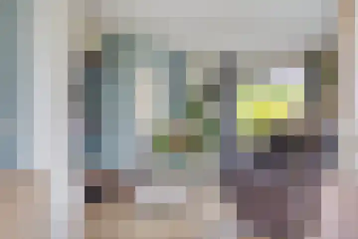 Alingterp 3 Warmenhuizen thumbnail 17