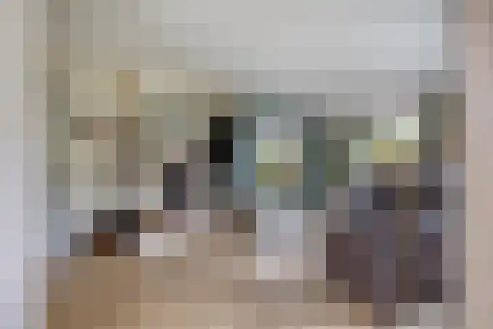 Alingterp 3 Warmenhuizen thumbnail 20