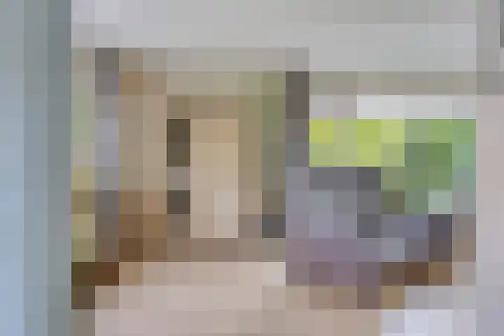 Alingterp 3 Warmenhuizen thumbnail 21