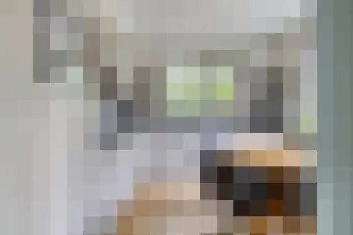 Alingterp 3 Warmenhuizen thumbnail 22