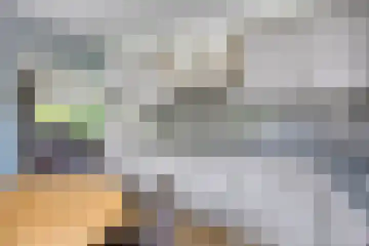 Alingterp 3 Warmenhuizen thumbnail 23