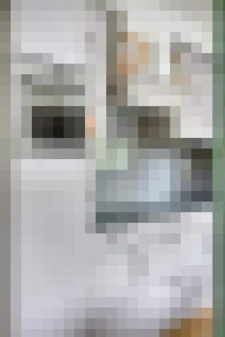 Alingterp 3 Warmenhuizen thumbnail 24