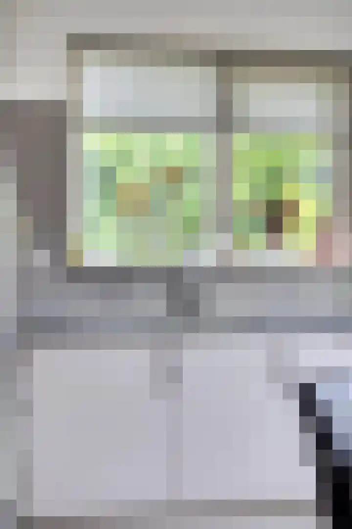 Alingterp 3 Warmenhuizen thumbnail 25
