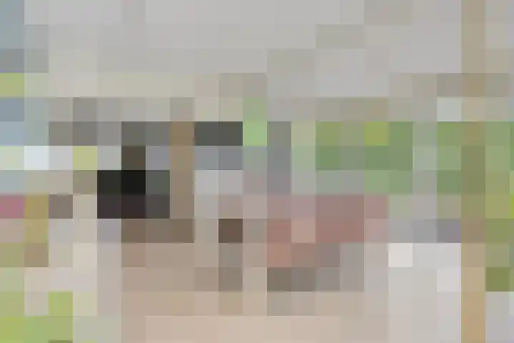 Alingterp 3 Warmenhuizen thumbnail 26