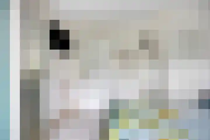 Alingterp 3 Warmenhuizen thumbnail 28