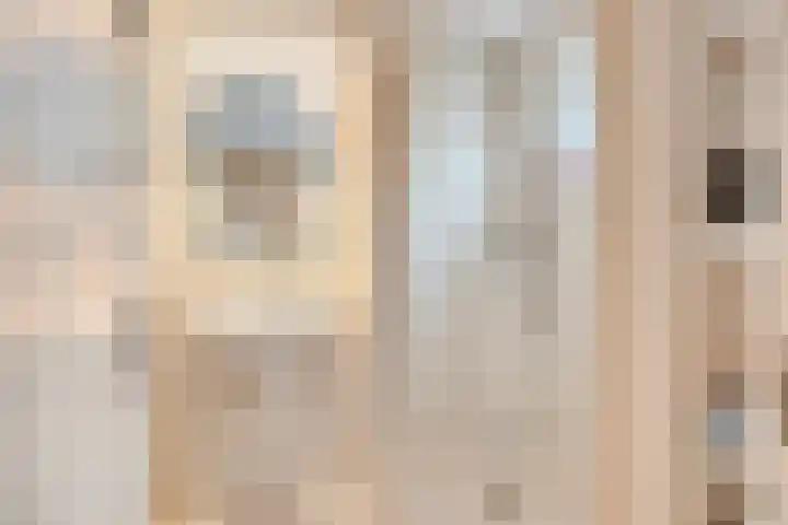 Alingterp 3 Warmenhuizen thumbnail 32