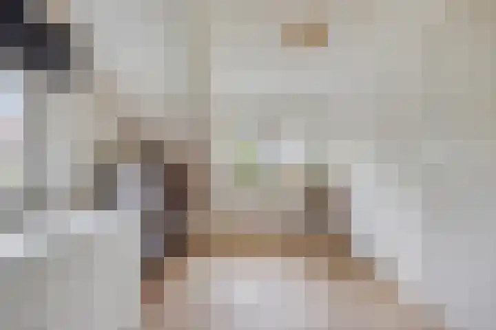 Alingterp 3 Warmenhuizen thumbnail 33