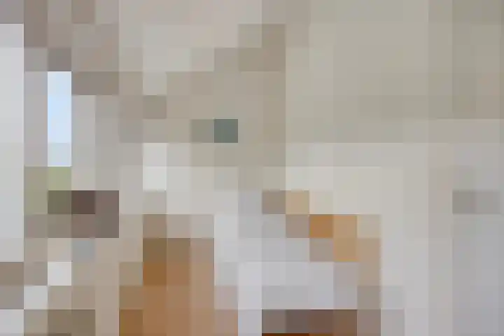 Alingterp 3 Warmenhuizen thumbnail 35