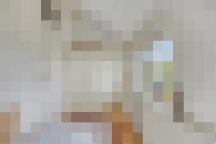 Alingterp 3 Warmenhuizen thumbnail 36