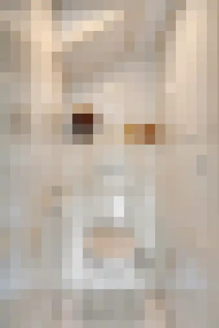 Alingterp 3 Warmenhuizen thumbnail 37