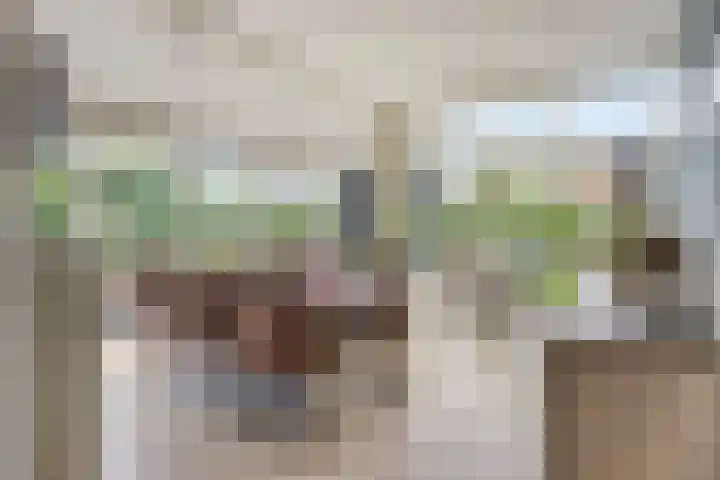 Alingterp 3 Warmenhuizen thumbnail 4