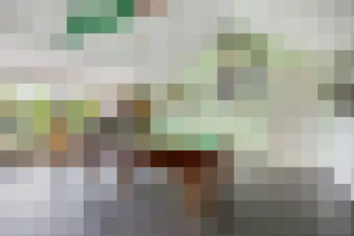 Alingterp 3 Warmenhuizen thumbnail 42