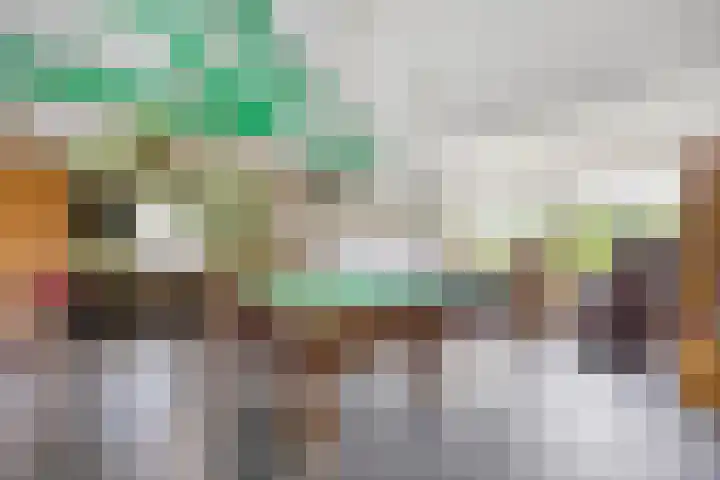 Alingterp 3 Warmenhuizen thumbnail 43