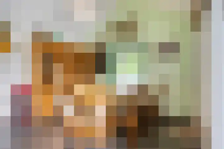 Alingterp 3 Warmenhuizen thumbnail 46