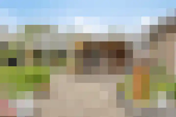 Alingterp 3 Warmenhuizen thumbnail 47