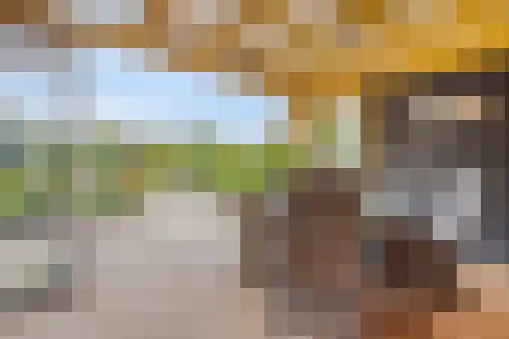 Alingterp 3 Warmenhuizen thumbnail 48
