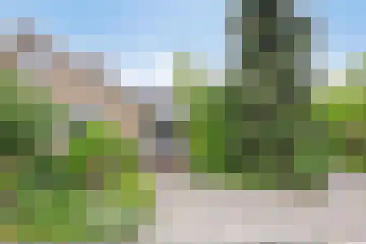 Alingterp 3 Warmenhuizen thumbnail 5