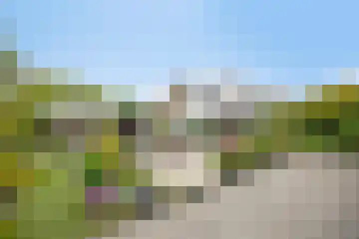 Alingterp 3 Warmenhuizen thumbnail 50