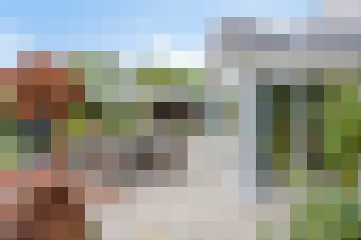 Alingterp 3 Warmenhuizen thumbnail 51