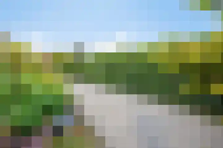 Alingterp 3 Warmenhuizen thumbnail 52