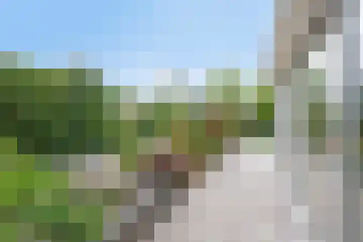 Alingterp 3 Warmenhuizen thumbnail 53
