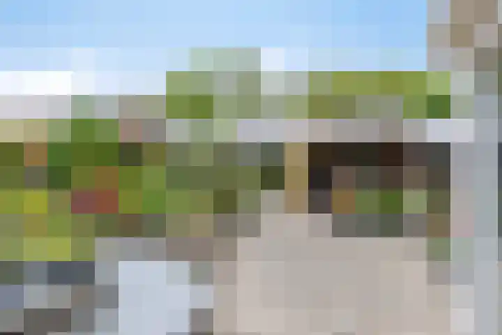 Alingterp 3 Warmenhuizen thumbnail 54