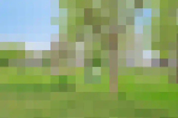 Alingterp 3 Warmenhuizen thumbnail 56