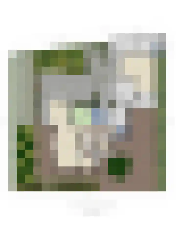 Alingterp 3 Warmenhuizen thumbnail 57