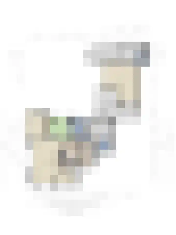 Alingterp 3 Warmenhuizen thumbnail 58