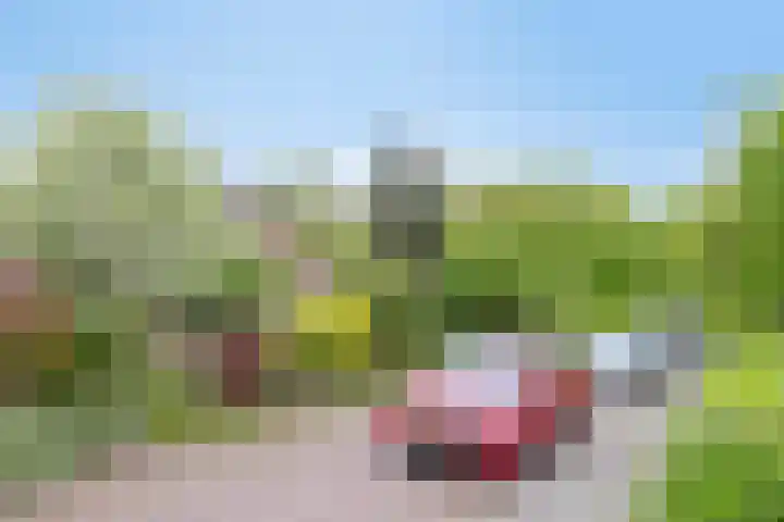 Alingterp 3 Warmenhuizen thumbnail 6