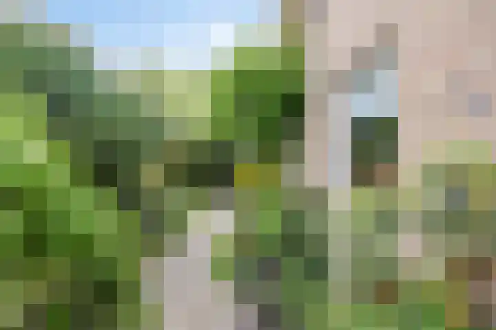 Alingterp 3 Warmenhuizen thumbnail 7
