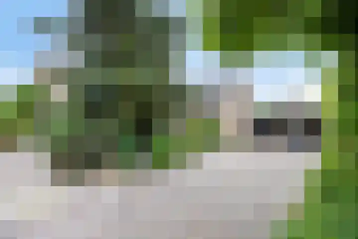 Alingterp 3 Warmenhuizen thumbnail 9
