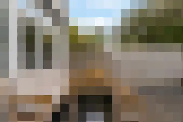 Alk 3 Noordwijk thumbnail 11