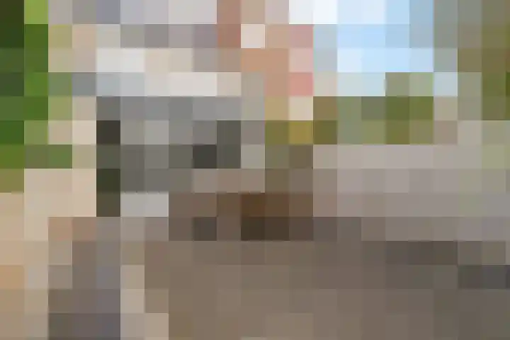 Alk 3 Noordwijk thumbnail 12