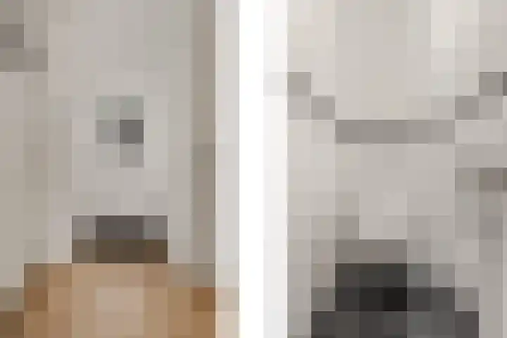 Alk 3 Noordwijk thumbnail 19