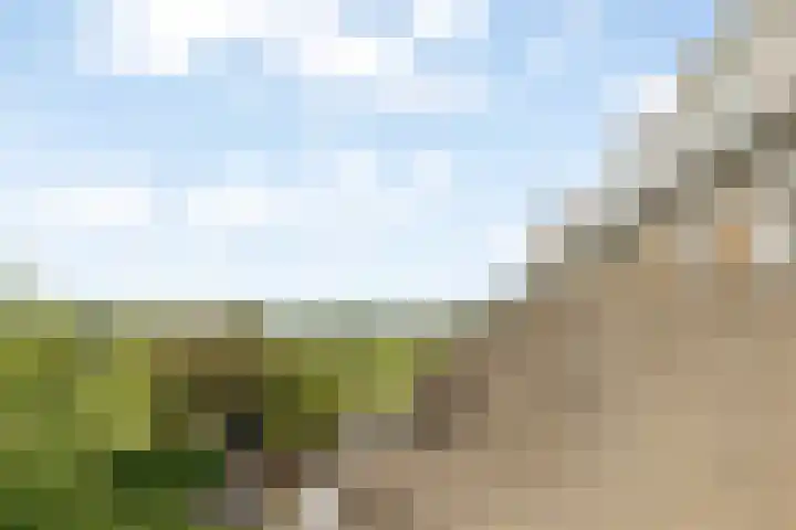 Alk 3 Noordwijk thumbnail 23