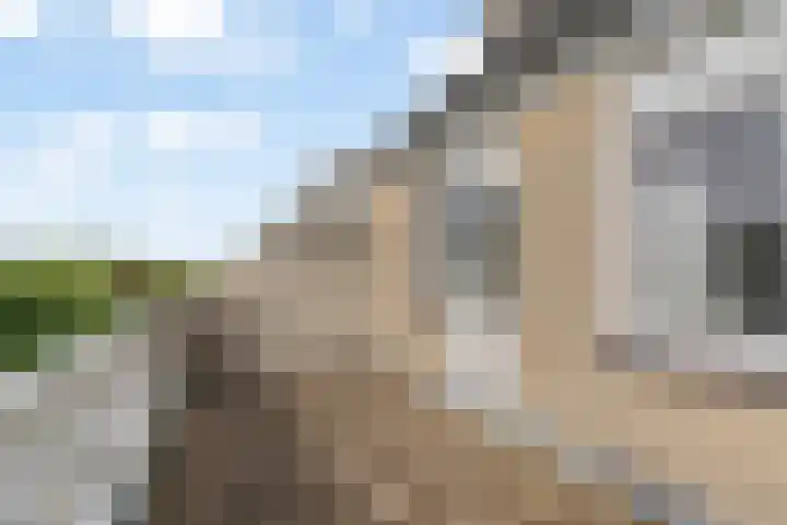 Alk 3 Noordwijk thumbnail 24