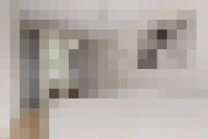 Alk 3 Noordwijk thumbnail 25
