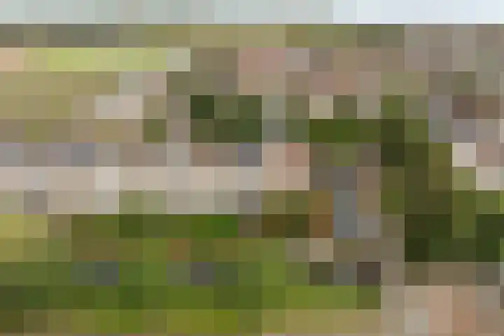 Alk 3 Noordwijk thumbnail 36