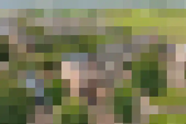 Alk 3 Noordwijk thumbnail 37