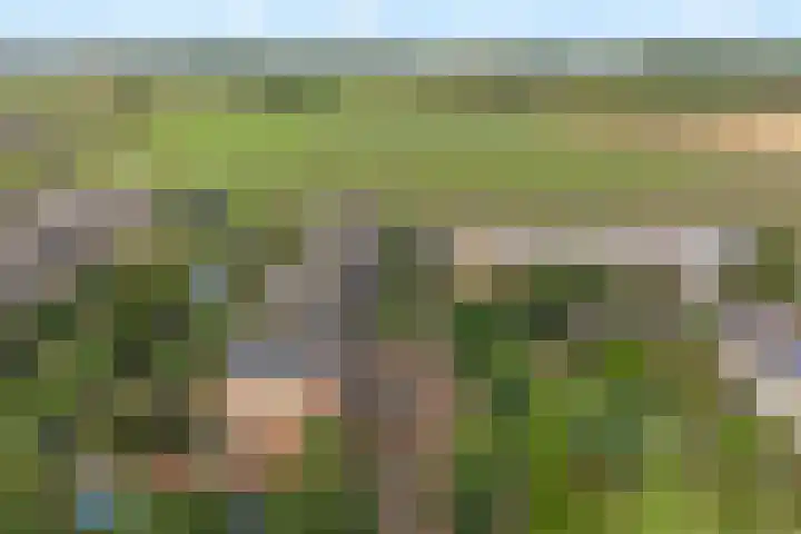 Alk 3 Noordwijk thumbnail 4