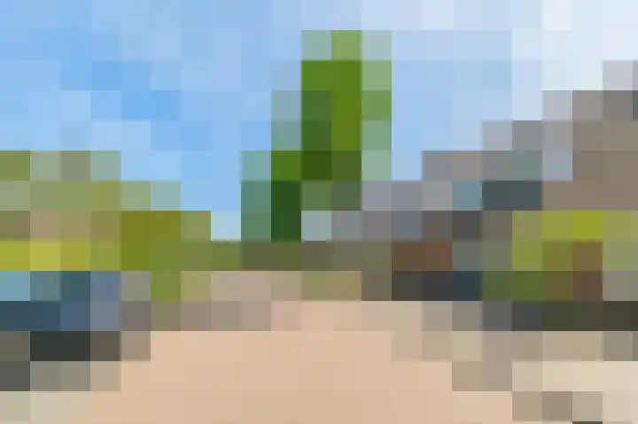 Alk 34 Noordwijk thumbnail 37