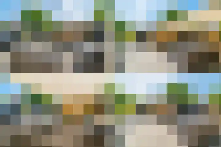 Alk 34 Noordwijk thumbnail 45