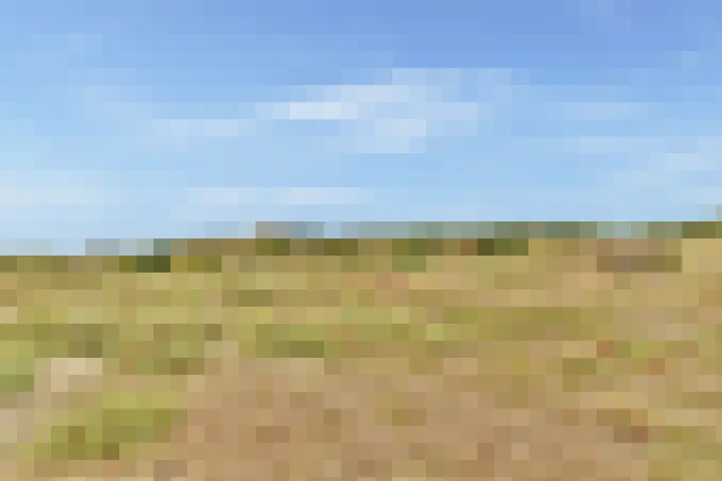 Alk 57 Noordwijk thumbnail 25