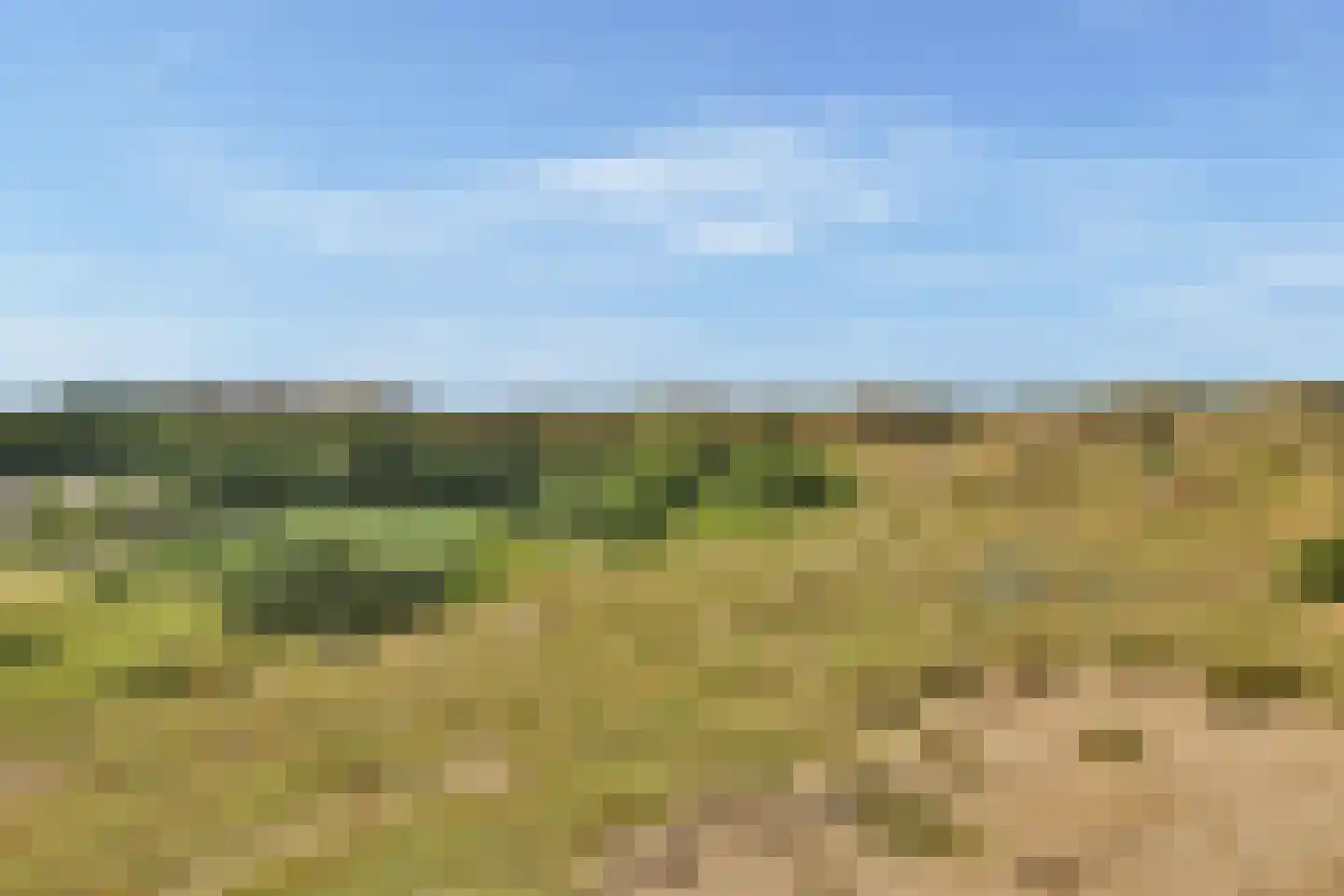 Alk 57 Noordwijk thumbnail 26