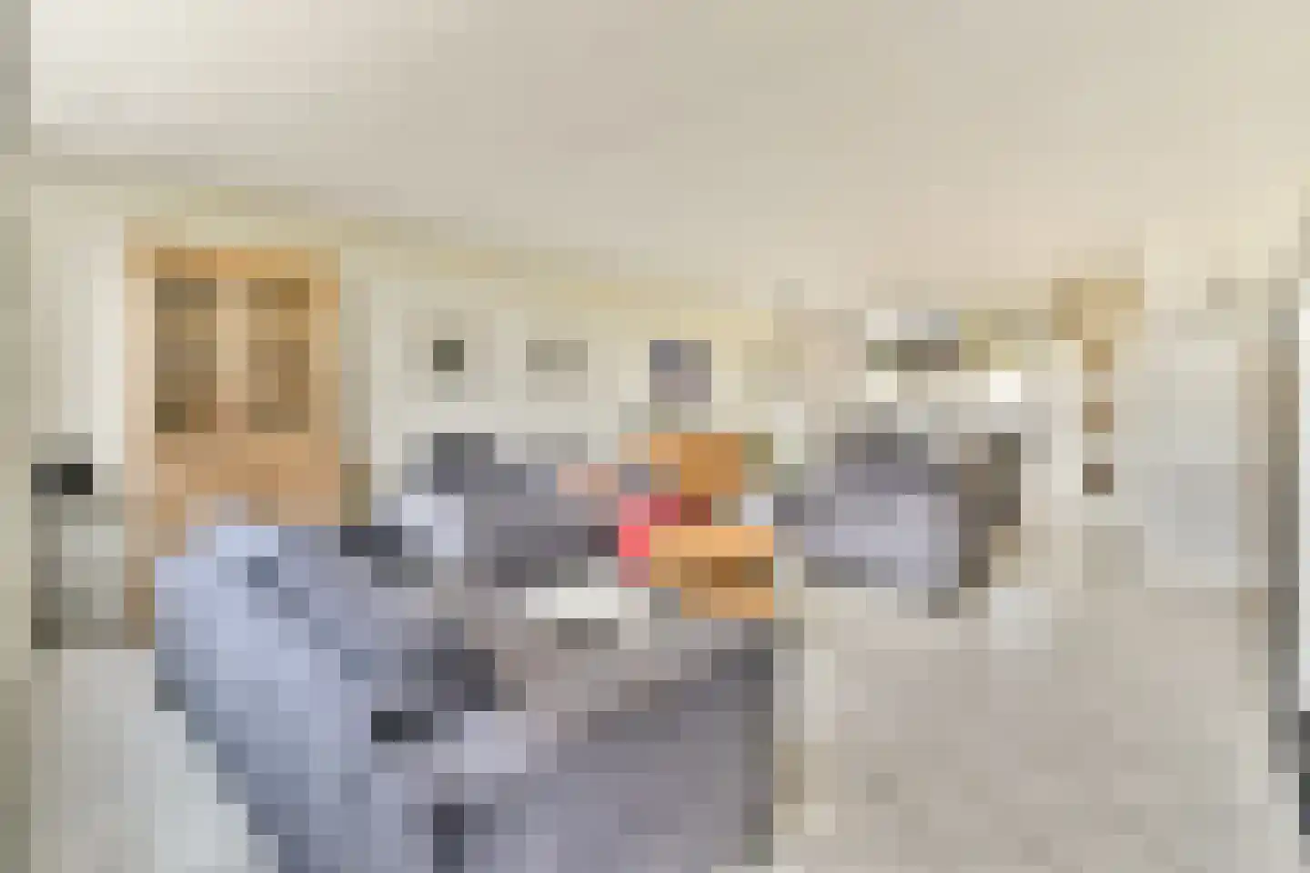 Alk 57 Noordwijk thumbnail 4