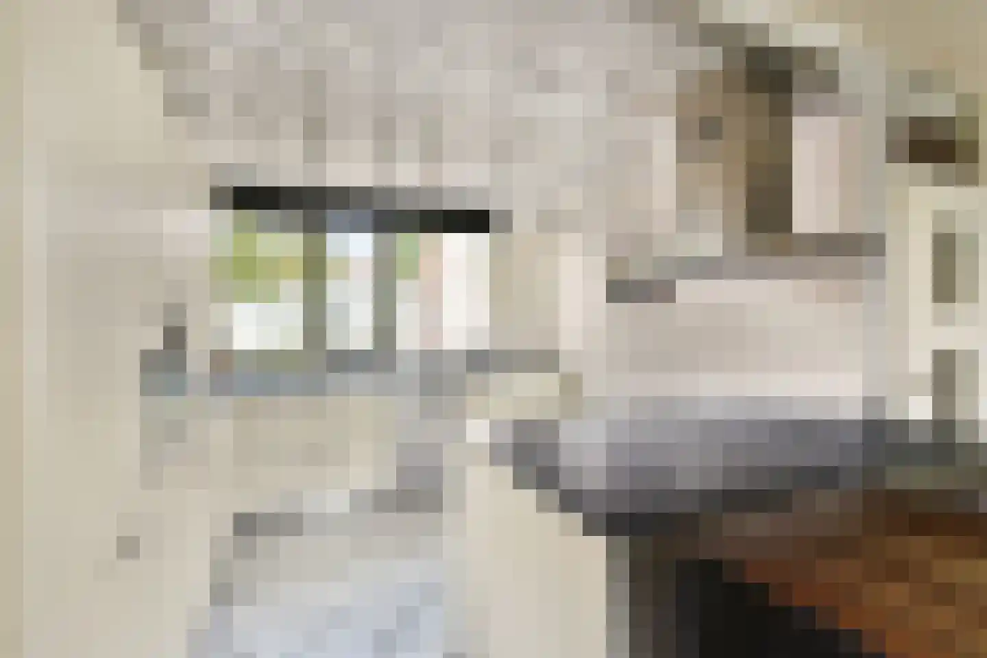 Alk 57 Noordwijk thumbnail 6