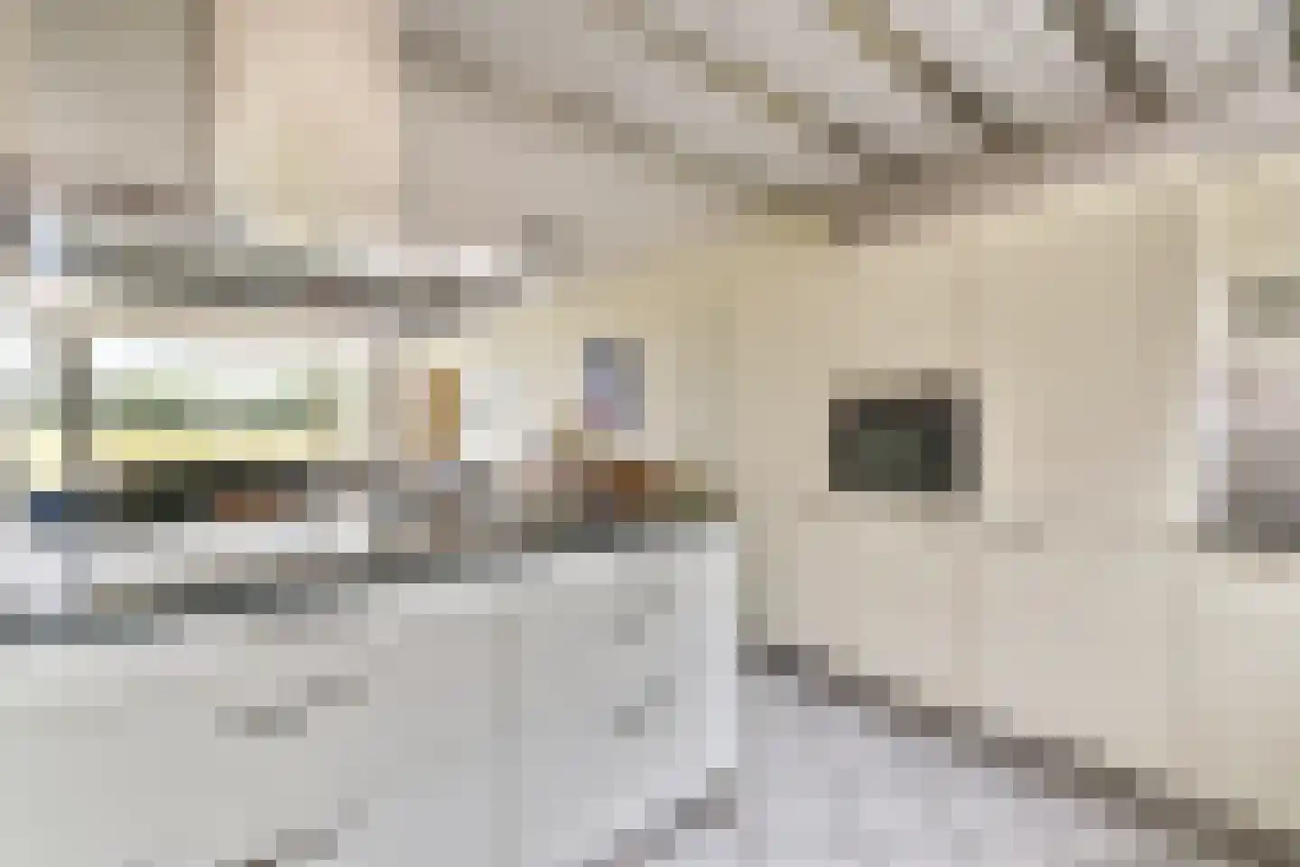 Alk 57 Noordwijk thumbnail 7