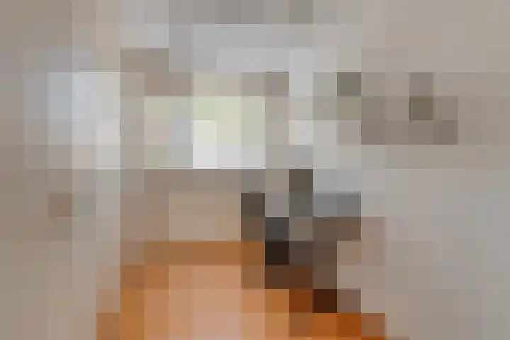 Alkemaderschans 11 Nieuwegein thumbnail 17